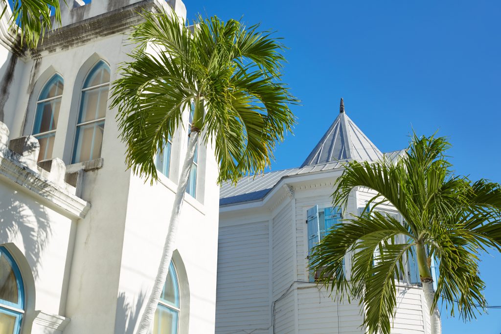 Historic Key West houses are framed by palm trees under a clear sky